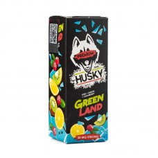 Жидкость HUSKY Premium Salt Strong Green Land (Киви лимон клюква) 2% 30 мл